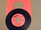 Mike & Dean Be True To Your Bud Budweiser Fight Song 45 Rare Promo NM Mike Love