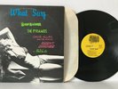 WHAT SURF   compilation LP Agent Orange Pyramids Halibuts, What Records W12-2406