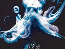 DRS From The Deep (gatefold 2xLP)  Space Cadet