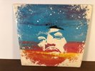 JIMI HENDRIX: A Lifetime Of Experience LP (2 LPs)
