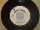 RONNIE RICE & SILVERTONES 60's GARAGE ROCKER 45 I WANT YOU TO BE MY GIRL NM PR