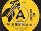 The Vibrations Love In Them There Hills Original Demo 1968