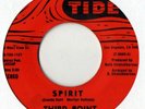 THIRD POINT 'SPIRIT/POOR BOY' (TIDE) 45