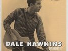 DALE HAWKINS Daredevil LP NEW Tarheel Slim ronnie swamp rock Susie Q Number Nine