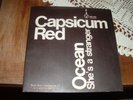 CAPSICUM RED ( POOH) 