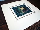 BLONDE REDHEAD - Misery Is a Butterfly | MINT VINYL | 2004 4AD 1st Pressing U.S.