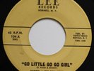 PORTER & the BELL HOPS: GO LITTLE GO GO GIRL - PRIVATE PRESS SURF INSTR 2-SIDER