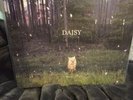 Brand New- Daisy Green Vinyl LP Hot Topic Exclusive Rare
