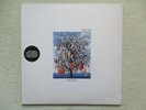 LP 33T TALK TALK 