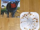 BLINK 182 Dude Ranch LP (SEALED) CLEAR w/ SPLATTER VINYL offspring.alkaline trio