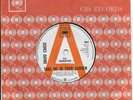 DRUID CHASE Take Me In Your Garden CBS UK psych demo 1967