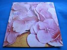 RARE PSYCH * STILL LIFE * 1971 UK VERTIGO LP * STUNNING NEAR MINT DISC & PLAY