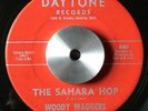SURF Guitar INSTRUMENTAL Rocker- WOODY WAGGERS- 