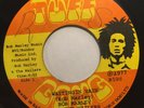 BOB MARLEY - turn your lights down low b/w waiting in vain - TUFF GONG RARE