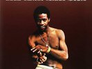 Al Green ?- Greatest Hits LP - SEALED Vinyl Album Record - Lets Stay Together