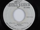 Reggae 45 WAILERS What Am I Supposed To Do COXSONE HEAR