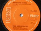 Righteous Flames - Let The Music Play / True Born African - RCA UK Orig. 7