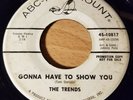 NORTHERN SOUL 45 by THE TRENDS HEAR IT