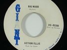 Action Ellis 