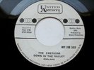 R&B THE EMERSONS Lonliness / Down in the valley UA promo VG++ - 45rpm record
