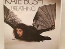 Kate Bush 7