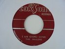 THE WAILERS Going Home COXSONE Ska 7