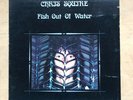 CHRIS SQUIRE FISH OUT OF WATER LP 1975 (YES) - Nice clean copy in g/fold cover w