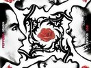 Blood,Sugar,Sex,Magik - RED HOT CHILI PEPPERS [2x LP]