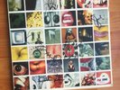 PEARL JAM NO CODE VINYL LP RECORD signed in person BY ALL BAND MEMBERS