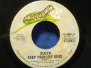Queen Keep Yourself Alive / Son And Daughter Rare 1973 Elektra Glam Hard Rock 45
