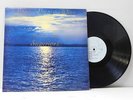 Dynamic Soul Superiors LP Love Always Wins on Multi Media
