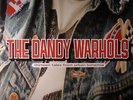 DANDY WARHOLS, The - Thirteen Tales From Urban Bohemia - Vinyl (2xLP)