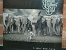 THE ALLMAN BROTHERS BAND - Hittin' the Note, 2LP BLACK VINYL Gatefold