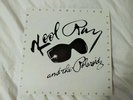 Kool Ray & the Polaroidz Introducing US Vinyl LP Stuff Records SR-80-001 1980