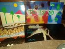 The Cure Vinyl LPs  Boys don't cry, The Top, Japanese Whispers, Head on the door