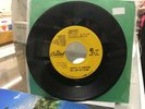 BEACH BOYS Salt Lake City / Amusement Parks USA RARE 7 inch 45    PLAYS NM-