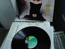 CLAIR MARLO     original 120 gram Vinyl LP     Let It Go (1989)