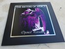 SISTERS OF MERCY - opened paradise   - 2 x lp - DIE HARD -test pressing+poster