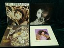  kate bush vinyl lp's,The dreaming-Hounds of love-Never for ever-Sensual world.