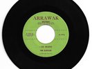RARE DOO WOP 45 THE DEVILLES I DO BELIEVE ON ARRAWAK VG+ ORIGINAL 1ST PRESS