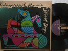 WIDESPREAD PANIC - STREET DOGS - SOUTHERN JAM ROCK - 2 LP'S - NM VINYL
