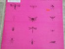 Pink Floyd Syd Barrett Still Laughing Album Vinyl Rare Recordings