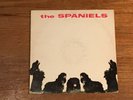 The Spaniels LP - Self Titled - Vee Jay VJLP 1024 1960 Dog Cover
