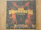 IRON BUTTERFLY Live In Sweden 1971 Vinyl LP Sealed Blue Cheer