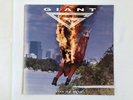 GIANT - TIME TO BURN - VINYL LP ALBUM - EPIC  - EPC 469457 1 - Free P&P
