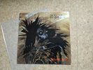 Protector - Urm The Mad LP Vinyl 1989