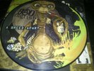 BAD ENGRISH A Breed Apart LP PICTURE DISC LTD 500 punk misfits green day e.t.