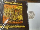 DAVE EVANS Elephantasia  1972 VILLAGE THING UK LP VTS 14  RARE FOLK