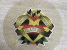 Rare Uncut Unplayed Picture Disc Gym Class Heroes