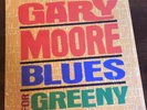 Gary Moore - Blues For Greeny 12” Vinyl LP